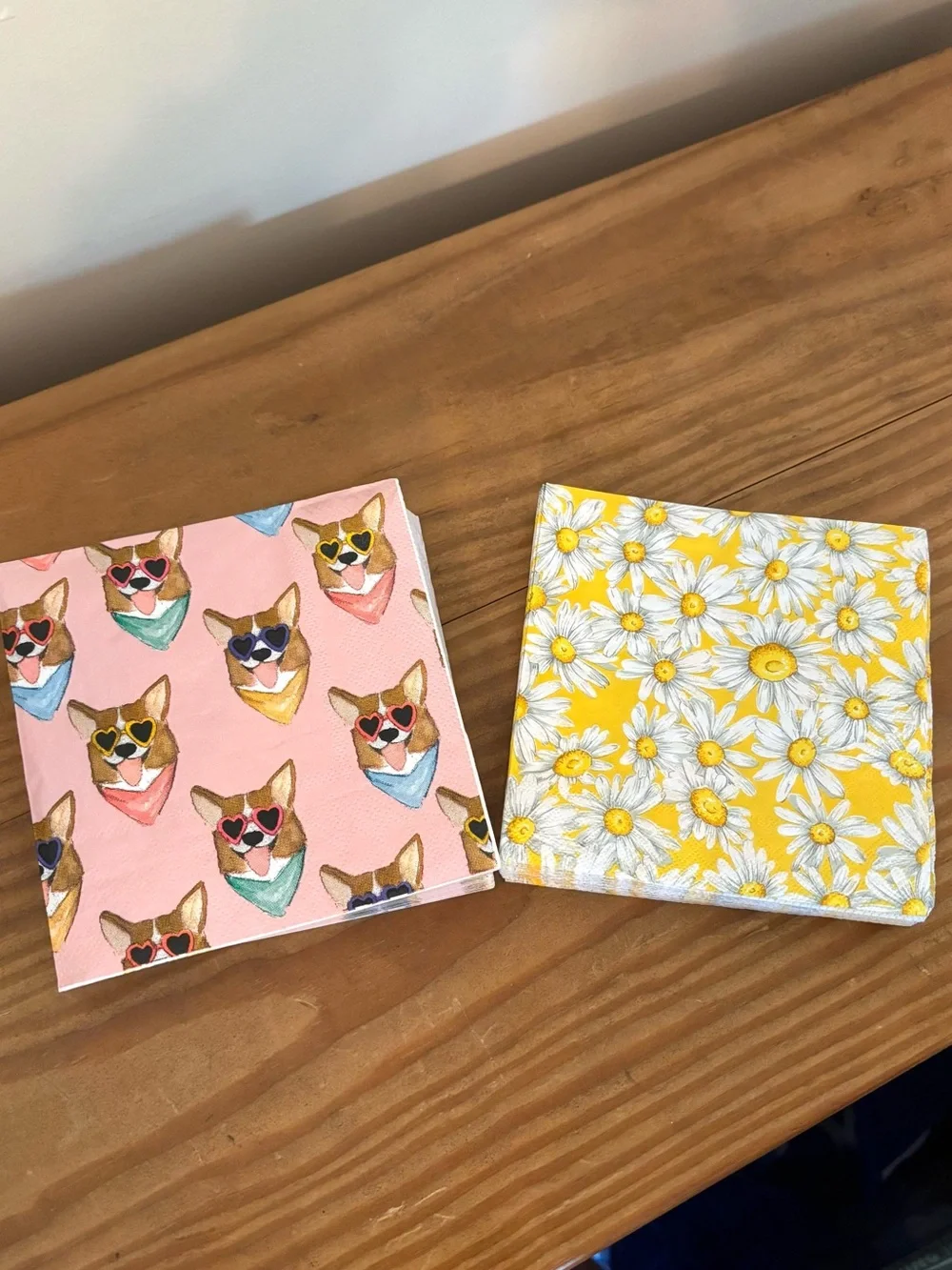 💥 Summer Fun Party Napkin Set - Cool Corgis & Darling Daisies